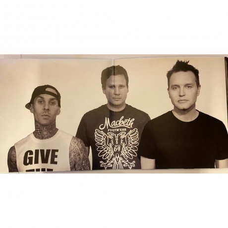 Blink-182 - Neighborhoods (0602557005219) виниловая пластинка - фото 3