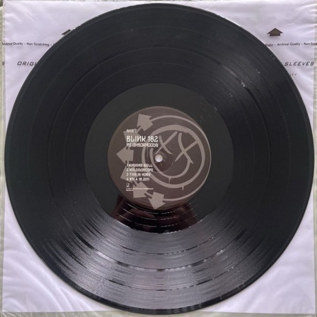 Blink-182 - Neighborhoods (0602557005219) виниловая пластинка - фото 7