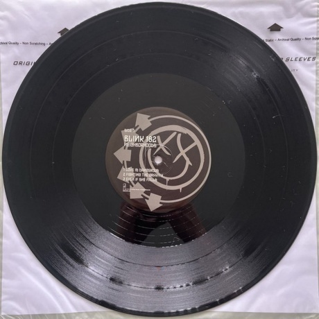 Blink-182 - Neighborhoods (0602557005219) виниловая пластинка - фото 8