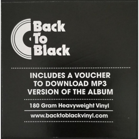 Blondie - Plastic Letters (0600753550335) виниловая пластинка - фото 8