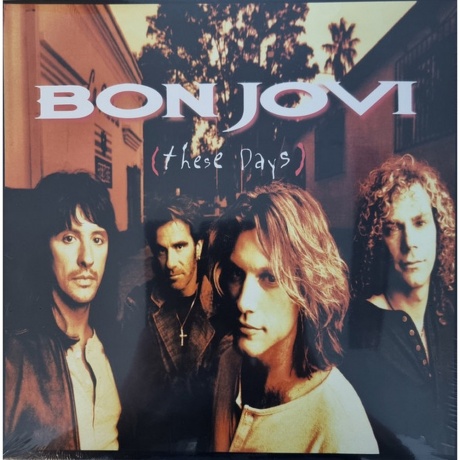 Bon Jovi - These Days (0602547029454) виниловая пластинка - фото 11