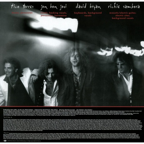 Bon Jovi - These Days (0602547029454) виниловая пластинка - фото 18