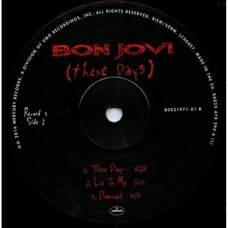 Bon Jovi - These Days (0602547029454) виниловая пластинка - фото 20