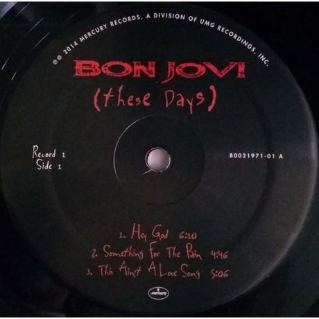 Bon Jovi - These Days (0602547029454) виниловая пластинка - фото 3