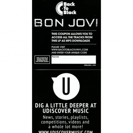 Bon Jovi - These Days (0602547029454) виниловая пластинка - фото 22