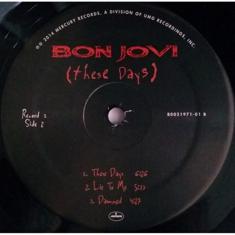 Bon Jovi - These Days (0602547029454) виниловая пластинка - фото 4