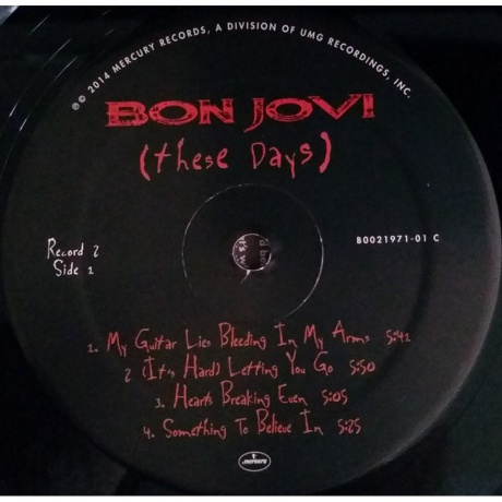 Bon Jovi - These Days (0602547029454) виниловая пластинка - фото 5
