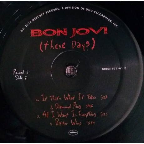 Bon Jovi - These Days (0602547029454) виниловая пластинка - фото 6