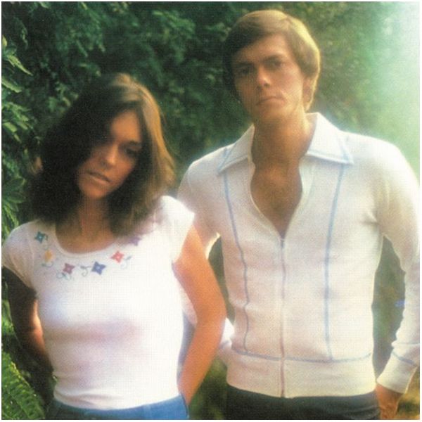 

Виниловая пластинка The Carpenters, Horizon (0602557404944)