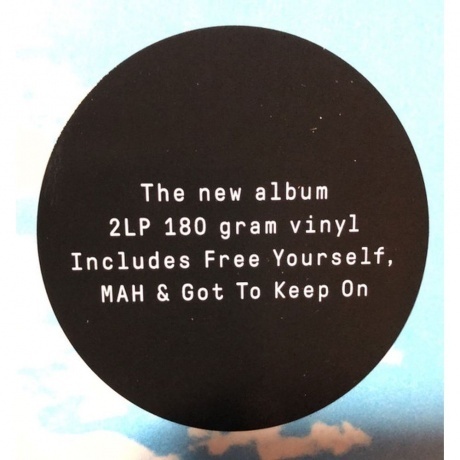 The Chemical Brothers - No Geography (0602577286919) виниловая пластинка - фото 13