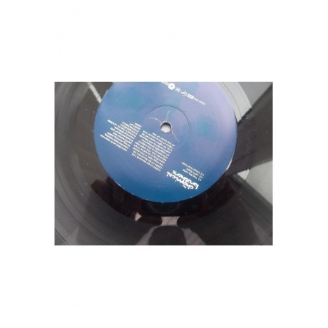 Виниловая пластинка The Chemical Brothers, Push The Button (0724356330214) - фото 12