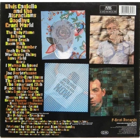Elvis Costello - Goodbye Cruel World (0602547331113) виниловая пластинка - фото 2
