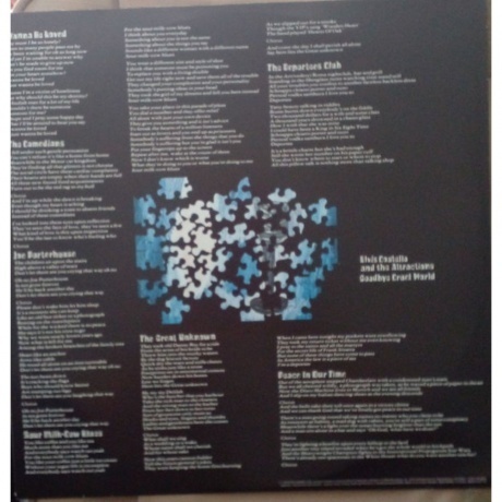 Elvis Costello - Goodbye Cruel World (0602547331113) виниловая пластинка - фото 4