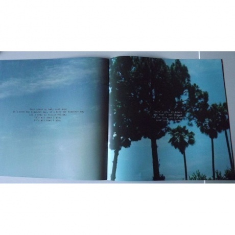 Lana Del Rey - Honeymoon (0602547507686) виниловая пластинка - фото 11