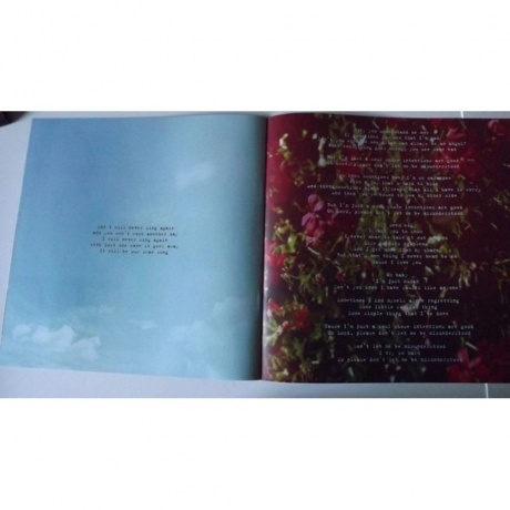 Lana Del Rey - Honeymoon (0602547507686) виниловая пластинка - фото 12