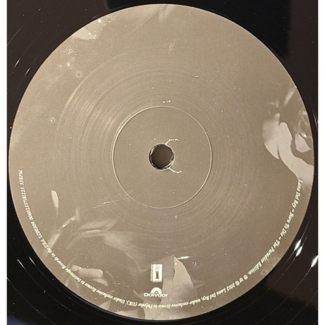 Lana Del Rey - Paradise (0602537181223) виниловая пластинка - фото 9