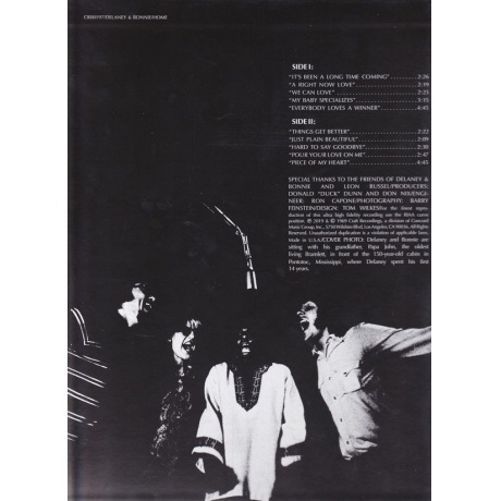 Виниловая пластинка Delaney &amp; Bonnie, Home (0888072092556) - фото 2