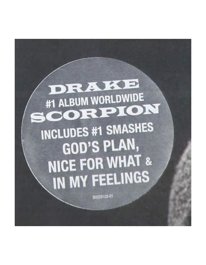Виниловая пластинка Drake, Scorpion (0602567874942) - фото 2