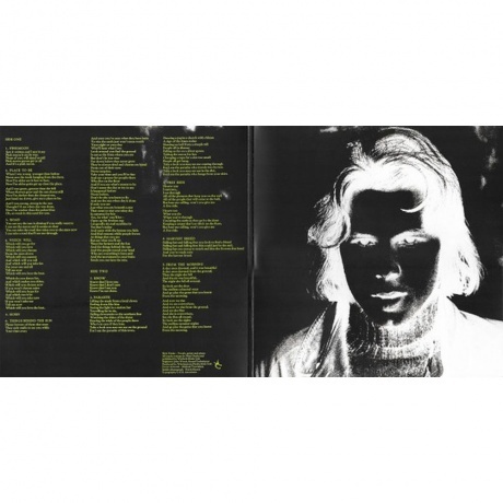 Nick Drake - Pink Moon (0602517456976) виниловая пластинка - фото 10