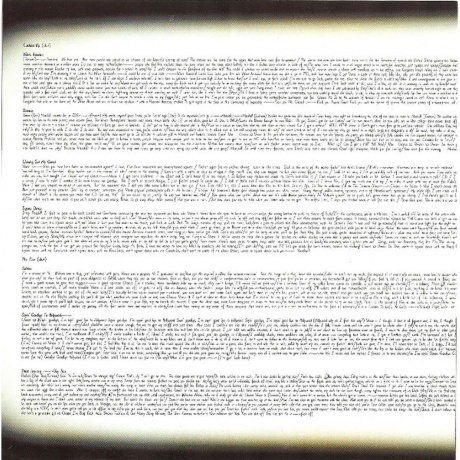 Eminem - The Eminem Show (0606949329013) виниловая пластинка - фото 10