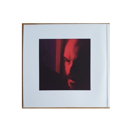 Виниловая пластинка Brian; Roger Eno, Mixing Colours (0028948377725) - фото 2