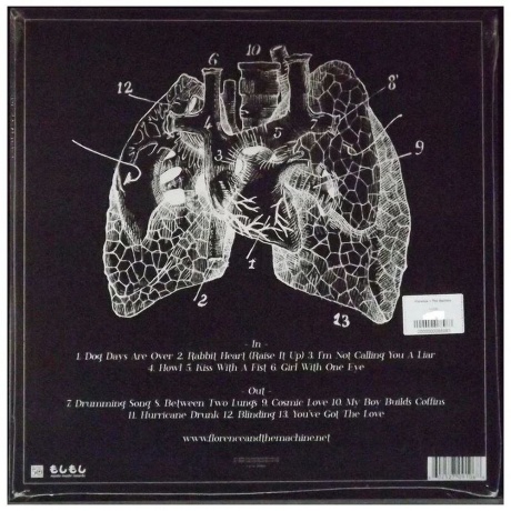 Florence And The Machine - Lungs (0602527091068) виниловая пластинка - фото 2