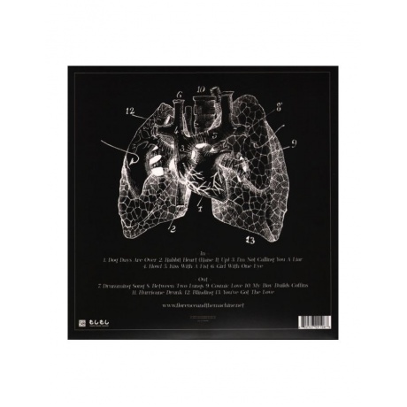 Виниловая пластинка Florence And The Machine, Lungs (0602527091068) - фото 2