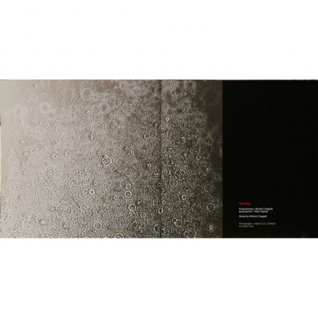 Peter Gabriel - Up (Half Speed) (0884108004579) виниловая пластинка - фото 18