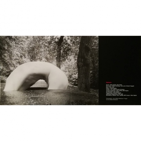 Peter Gabriel - Up (Half Speed) (0884108004579) виниловая пластинка - фото 9