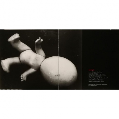 Peter Gabriel - Up (Half Speed) (0884108004579) виниловая пластинка - фото 10