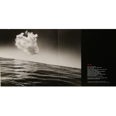 Виниловая пластинка Peter Gabriel, Up (0884108004579) - фото 4