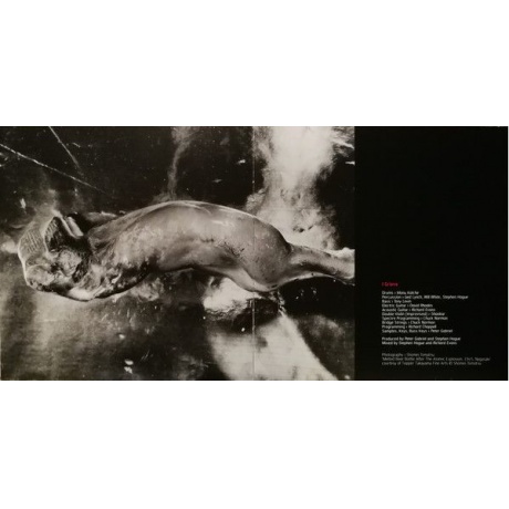 Виниловая пластинка Peter Gabriel, Up (0884108004579) - фото 6