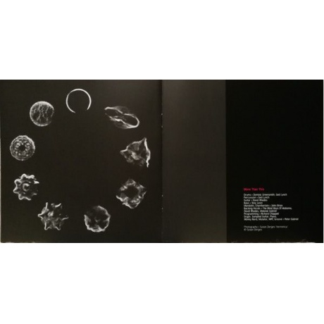 Виниловая пластинка Peter Gabriel, Up (0884108004579) - фото 9