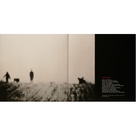 Виниловая пластинка Peter Gabriel, Up (0884108004579) - фото 10