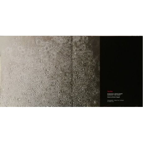 Виниловая пластинка Peter Gabriel, Up (0884108004579) - фото 11