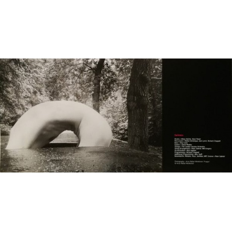 Виниловая пластинка Peter Gabriel, Up (0884108004579) - фото 23