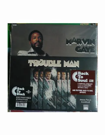 Виниловая пластинка Marvin Gaye, Trouble Man (0600753534243)