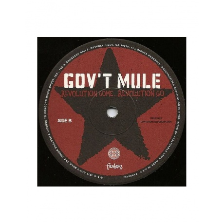 Виниловая пластинка Gov't Mule, Revolution Come...Revolution Go (0888072027442) - фото 3