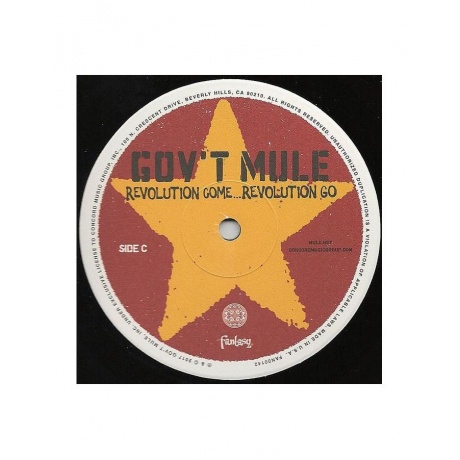 Виниловая пластинка Gov't Mule, Revolution Come...Revolution Go (0888072027442) - фото 4