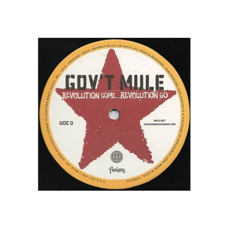 Виниловая пластинка Gov't Mule, Revolution Come...Revolution Go (0888072027442) - фото 5