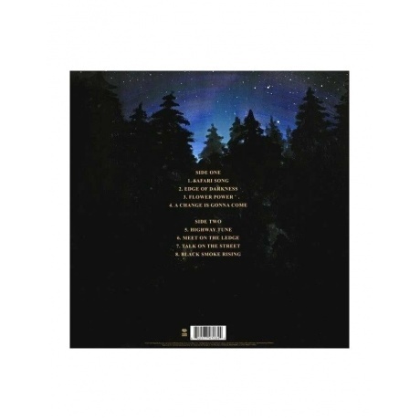 Greta Van Fleet - From The Fires (0602577470844) виниловая пластинка - фото 2