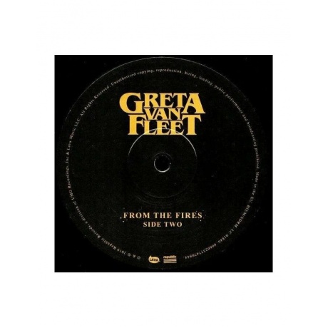 Виниловая пластинка Greta Van Fleet, From The Fires (EP) (0602577470844) - фото 4