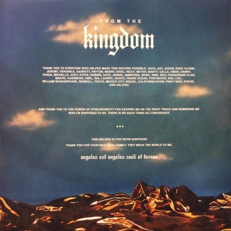 Halsey - Hopeless Fountain Kingdom (coloured) (0602557499223) виниловая пластинка - фото 6