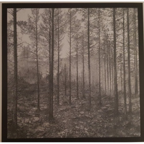 Ihsahn - Telemark (coloured) (0602508276330) виниловая пластинка - фото 6