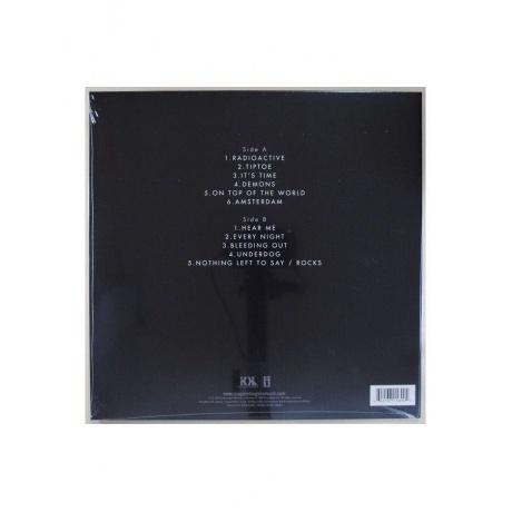 Imagine Dragons - Night Visions (0602537158904) виниловая пластинка - фото 2