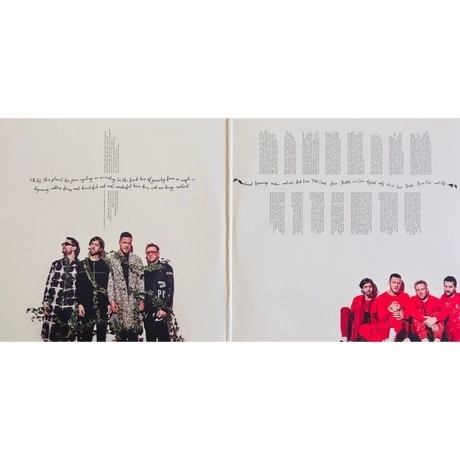 Imagine Dragons - Origins (0602577167959) виниловая пластинка - фото 2