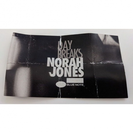 Norah Jones - Day Breaks (0602547955722) виниловая пластинка - фото 12