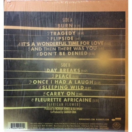 Norah Jones - Day Breaks (0602547955722) виниловая пластинка - фото 5