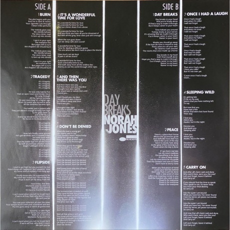 Norah Jones - Day Breaks (0602547955722) виниловая пластинка - фото 9