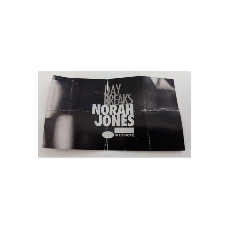 Виниловая пластинка Norah Jones, Day Breaks (0602547955722) - фото 6
